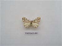 藏品(尺蛾143)的圖片